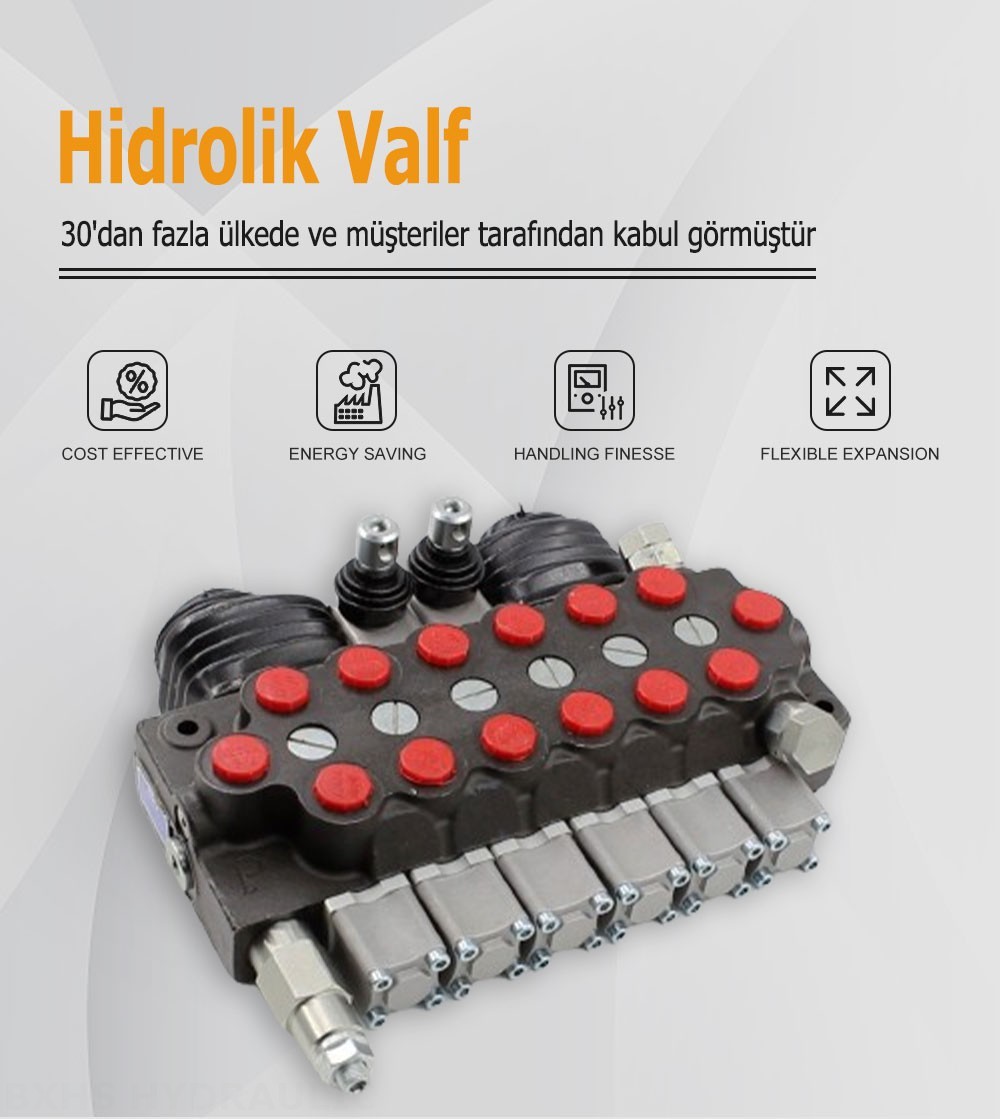 TR55 Manuel ve Joystick 6 Makara Monoblok Yönsel Valf